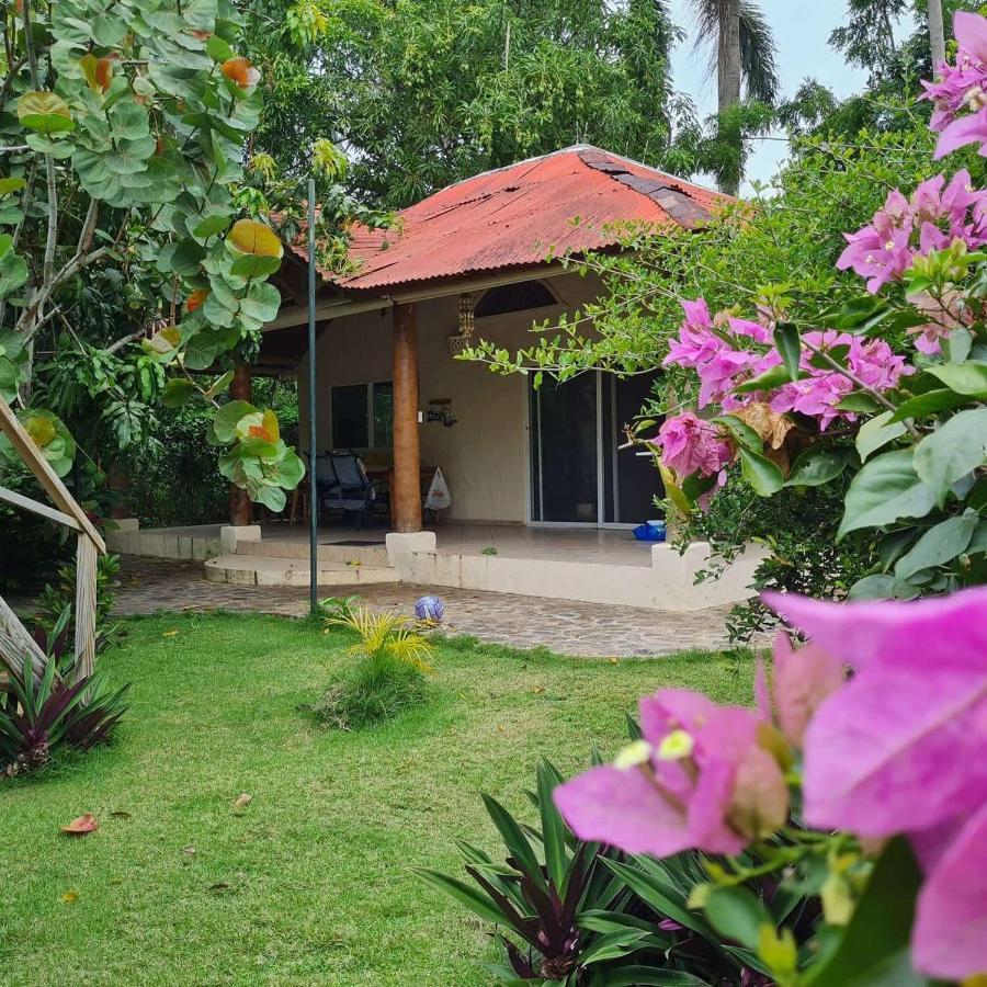 Villa Sonrisa Casa De Huespedes Las Terrenas Exterior foto