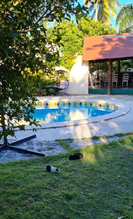 Villa Sonrisa Casa De Huespedes Las Terrenas Exterior foto